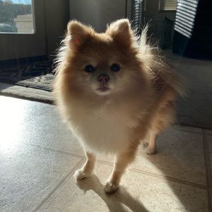 Meet your Posher, Jiselle